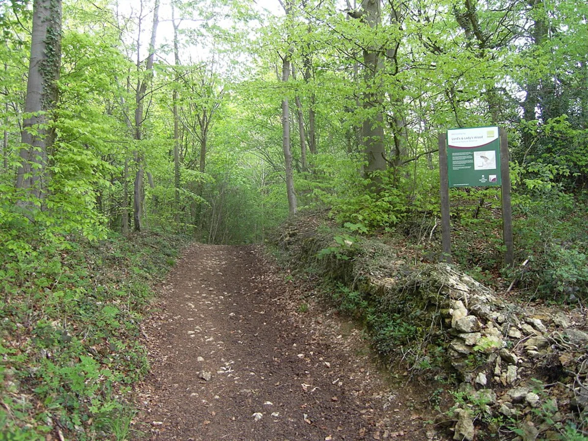 Lady's Wood and Lower Woods Nature Reserve Loop