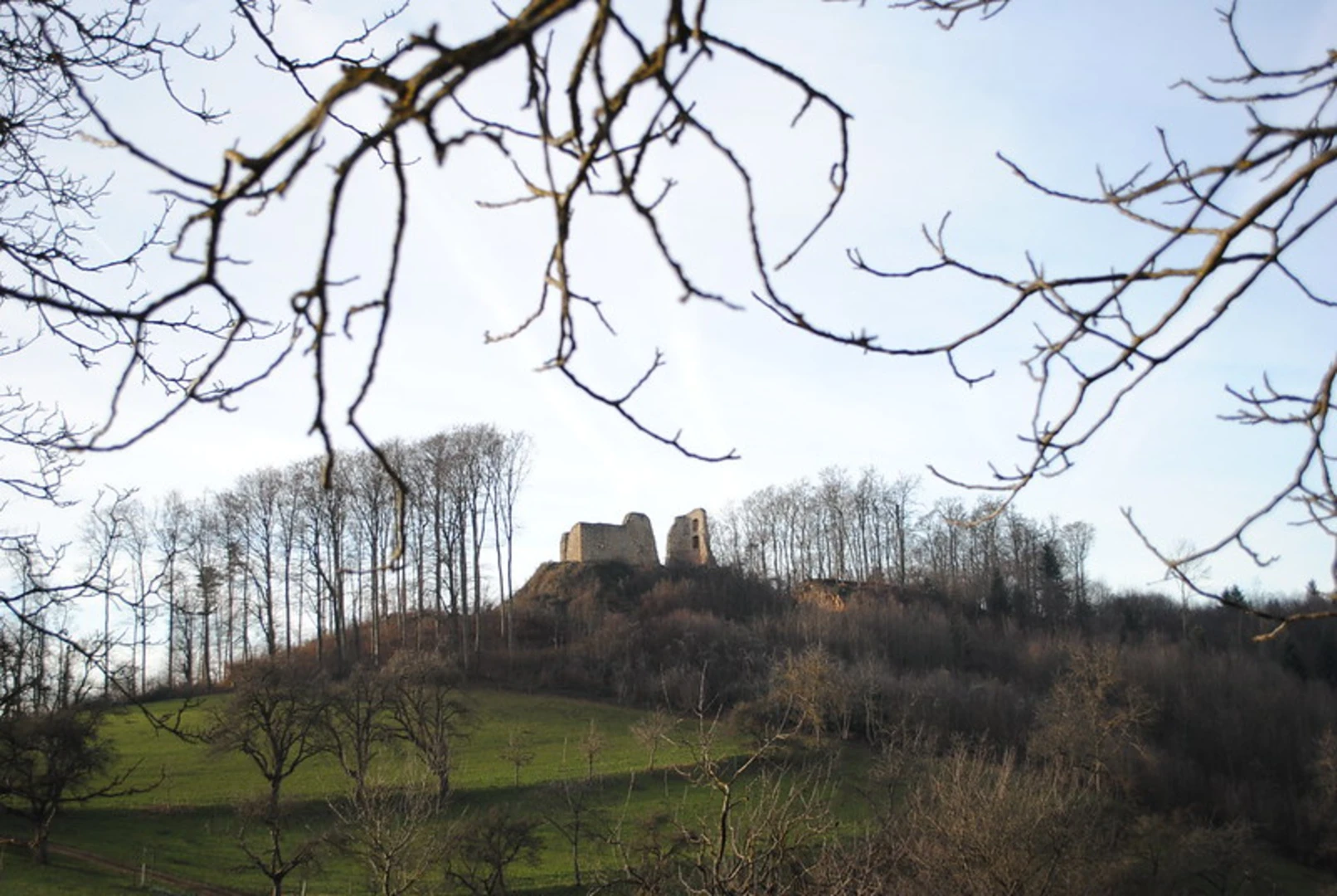 An image depicting the trail Burgruine Schneeburg Loop via Markgraefler Wiiwegli and its surrounding area.