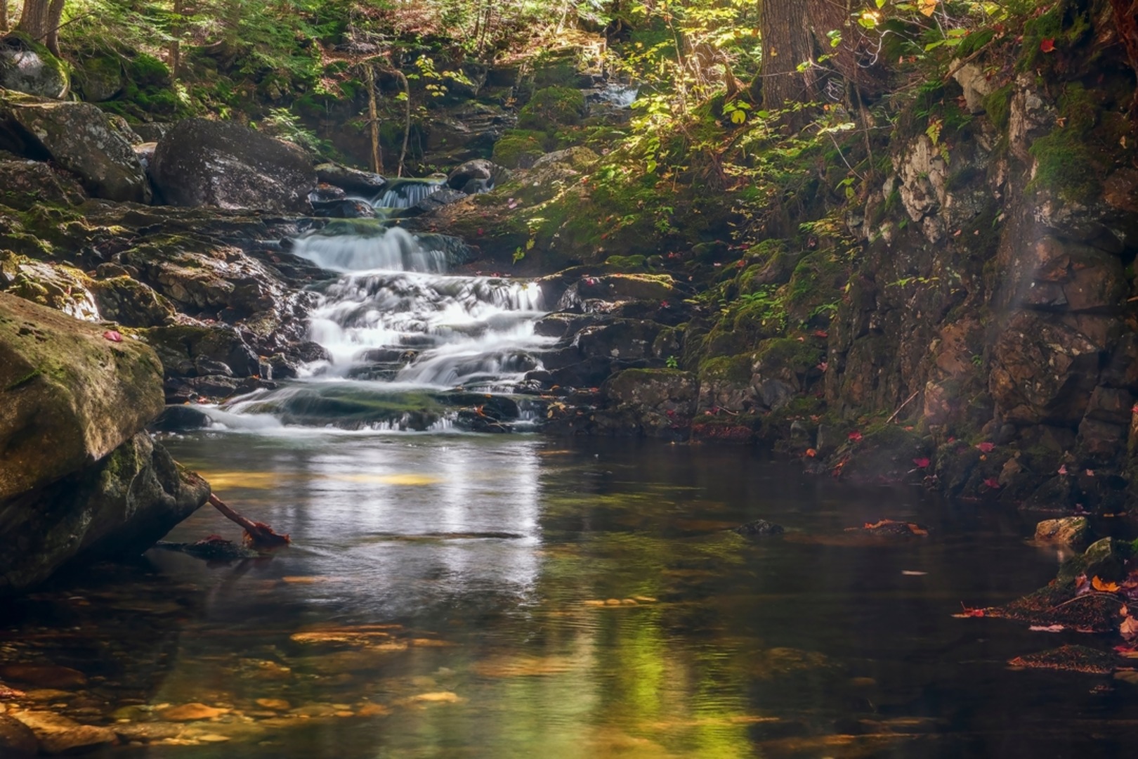 An image depicting the trail Fallsway Trail and its surrounding area.
