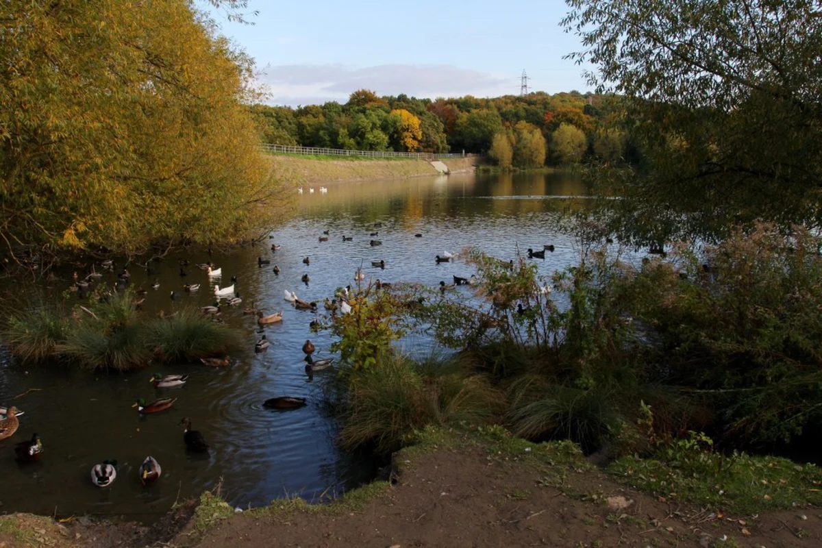 Elsecar Reservoir and Canal Walk