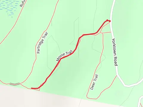 Moose Trail from Yorktown Road