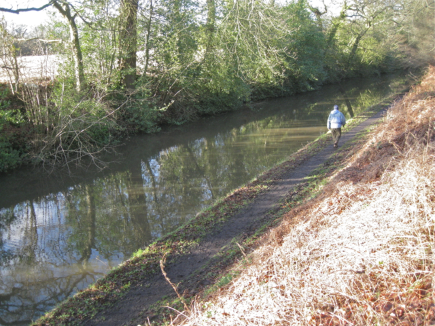 An image depicting the trail Hockley Heath and Packwood Circular and its surrounding area.