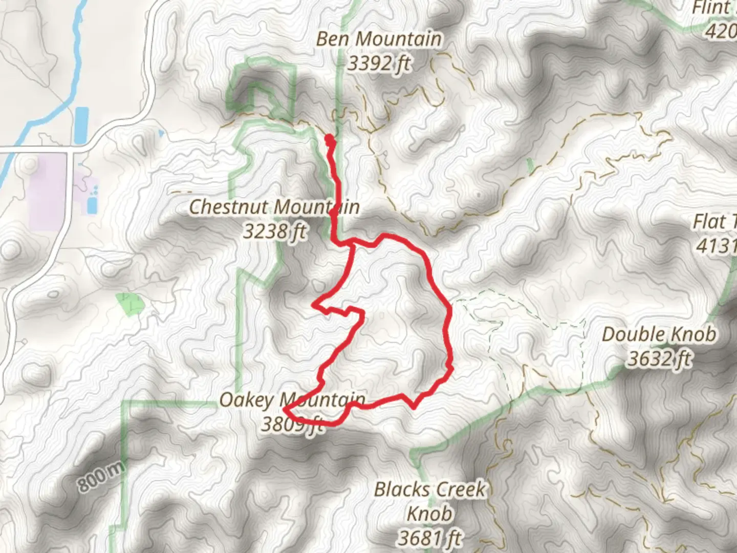 An image depicting the trail Darnell Creek Loop Trail and its surrounding area.