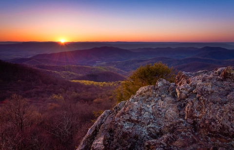 An image depicting the trail Bearfence Mountain Trail and its surrounding area.