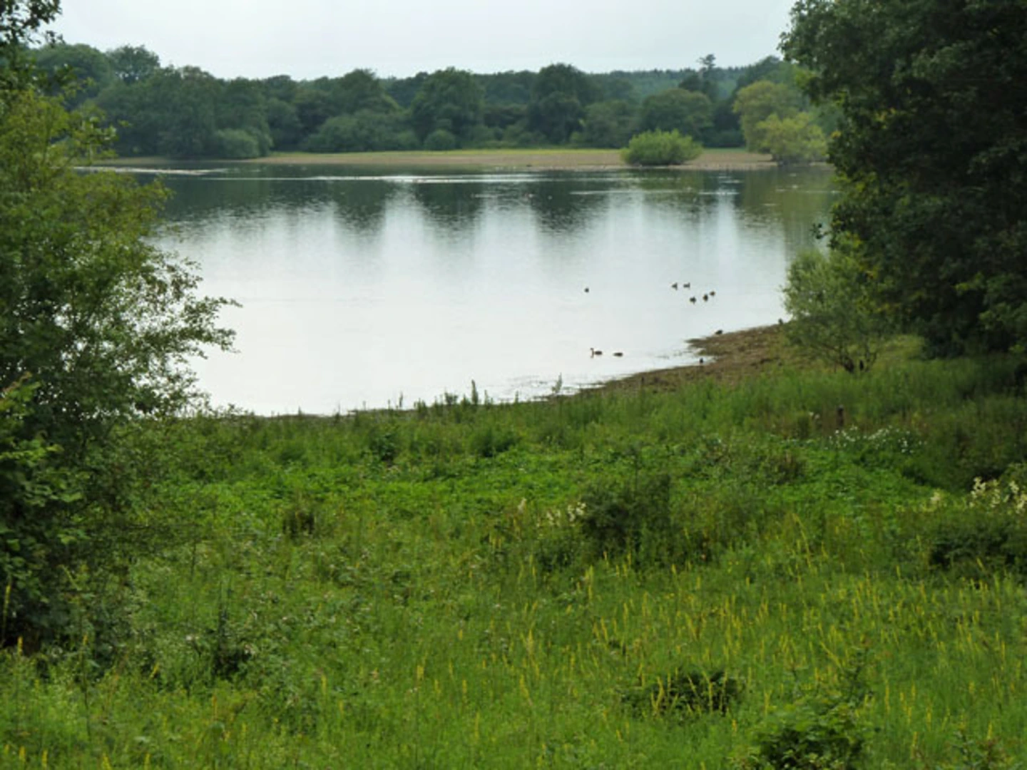 An image depicting the trail Hosey Hill, Idle Hill and Bough Beech Reservoir Loop and its surrounding area.