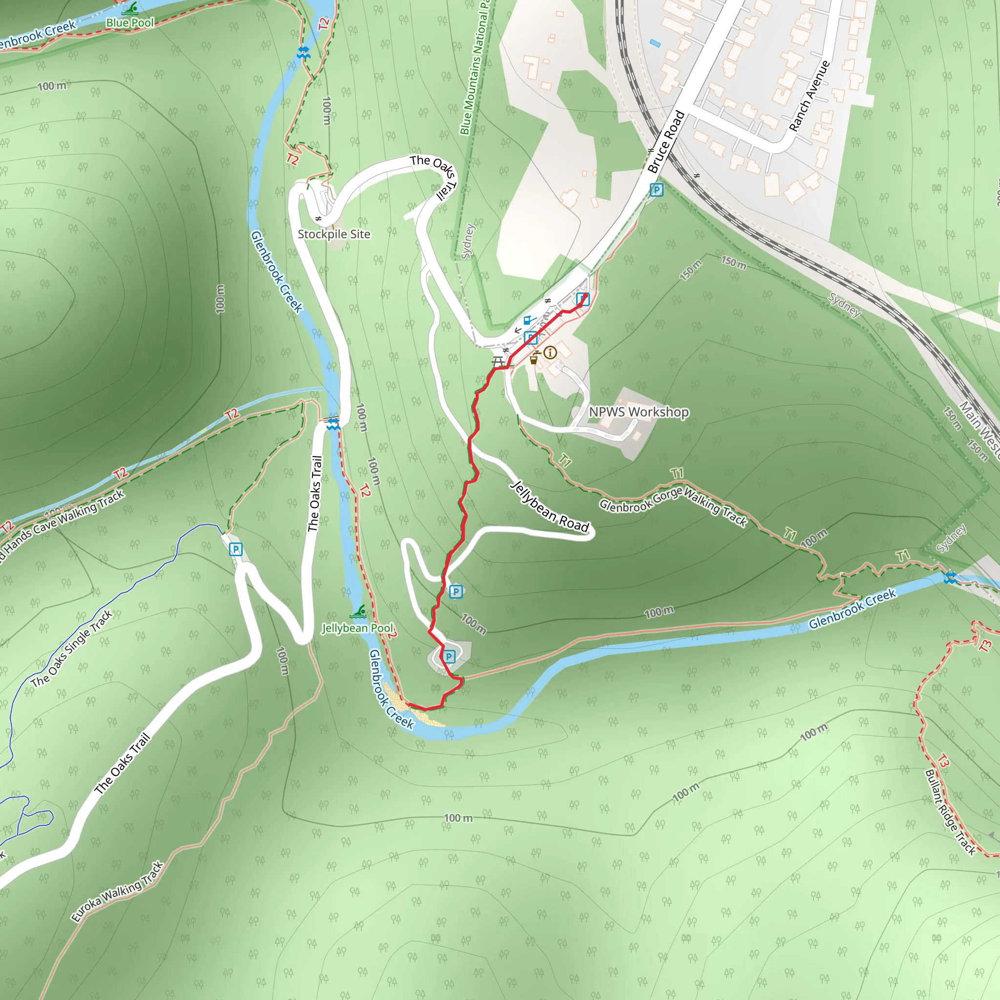 Jellybean Track mobile static map