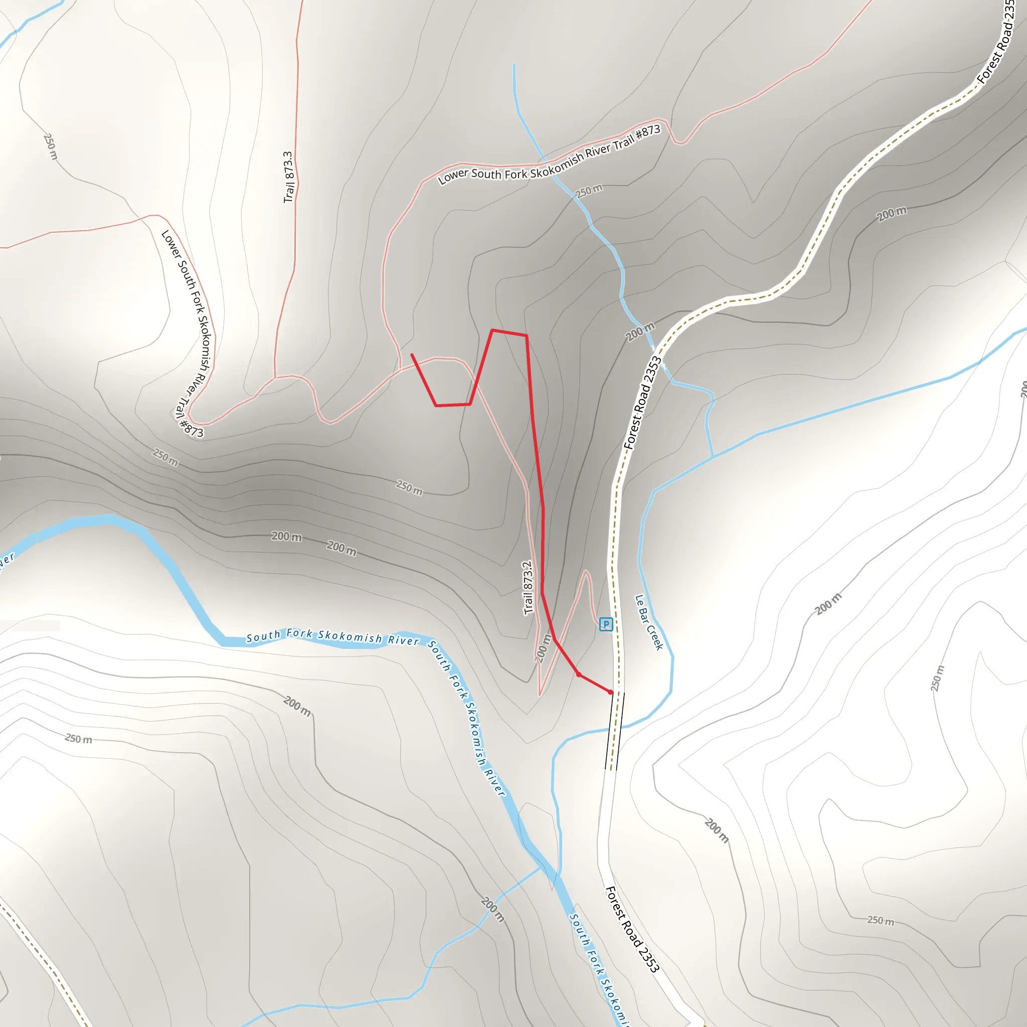 Lower Sf Skokomish - Lebar Creek Trail mobile static map