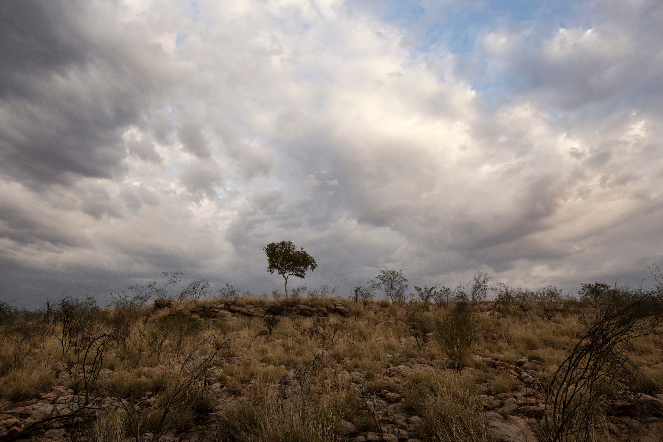 An image depicting the trail Iytwelepenty / Davenport Range National Park and its surrounding area.