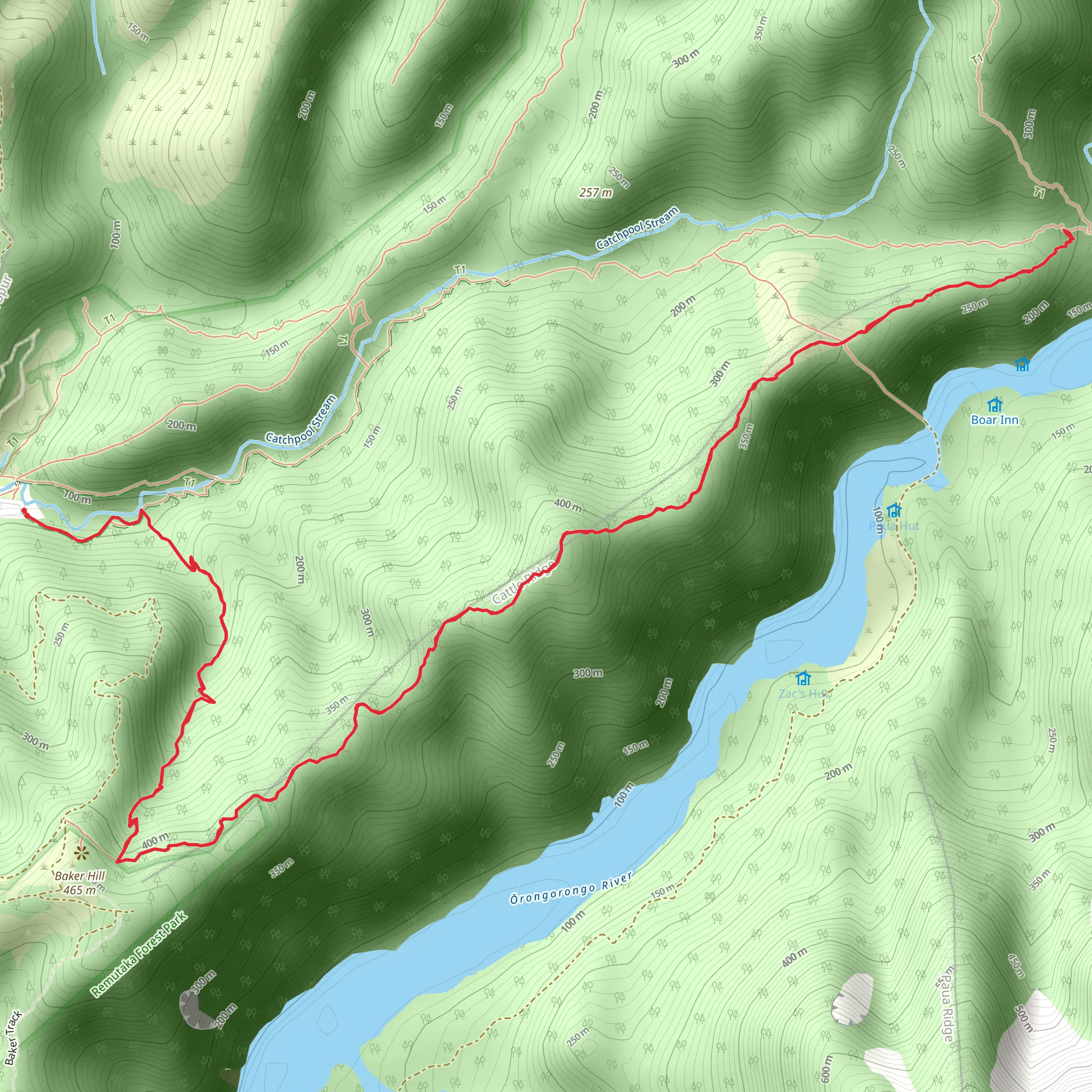 Ōrongorongo Track to Cattle Ridge Track mobile static map