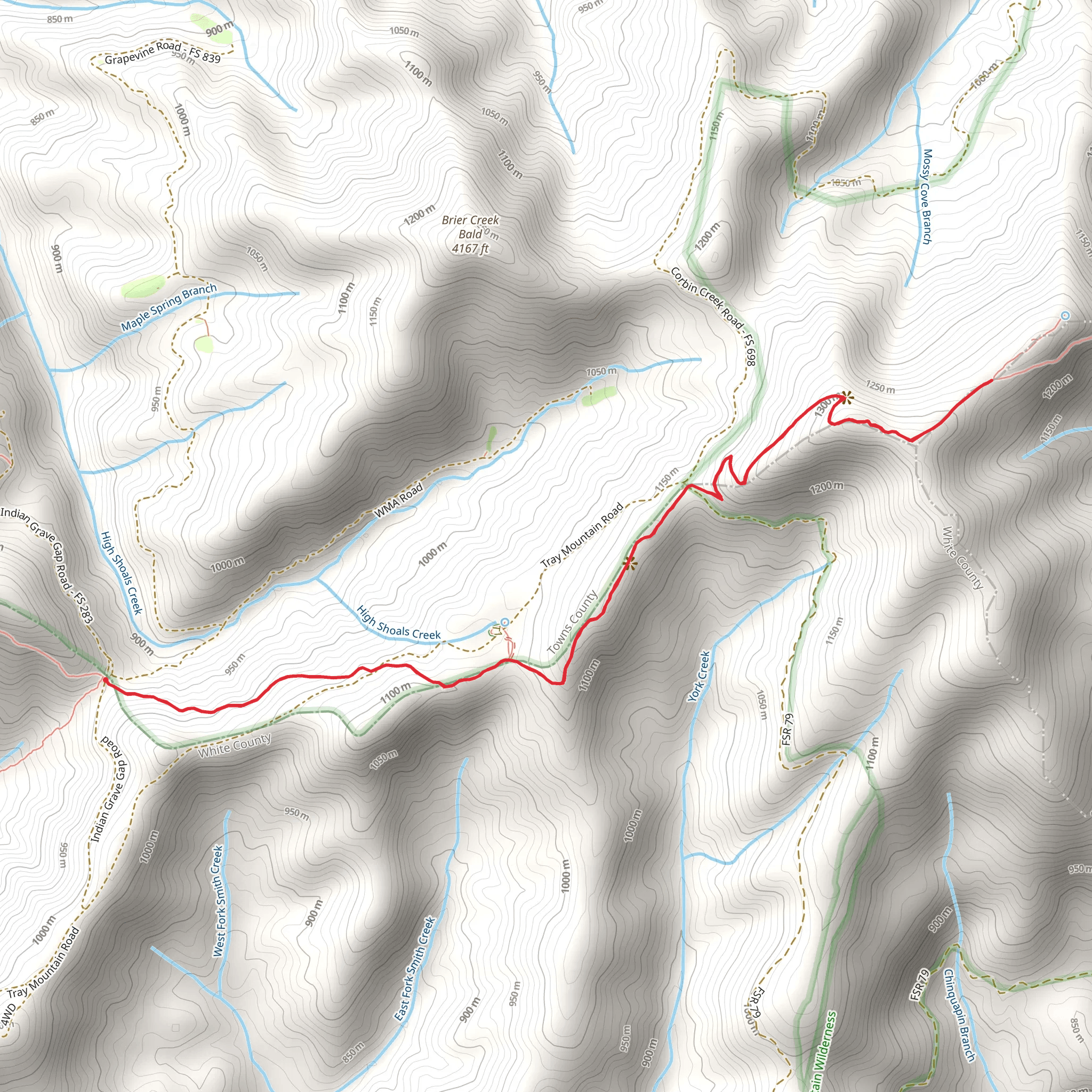 Tray Mountain from Indian Grave Gap mobile static map