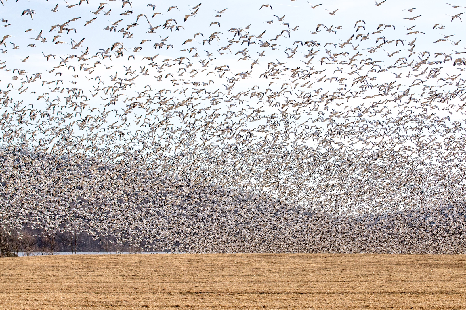 An image depicting the trail Horse-Shoe Trail and Middle Creek Trail Loop and its surrounding area.