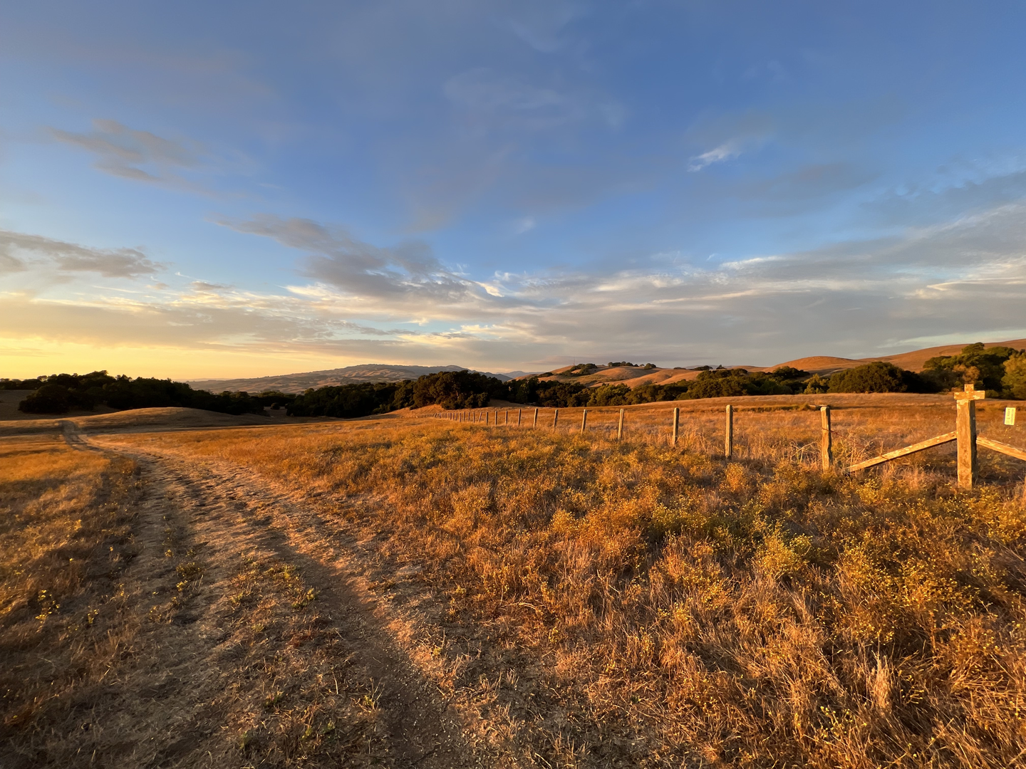 An image depicting the trail Cardoza Road and West Ridge Trail and its surrounding area.