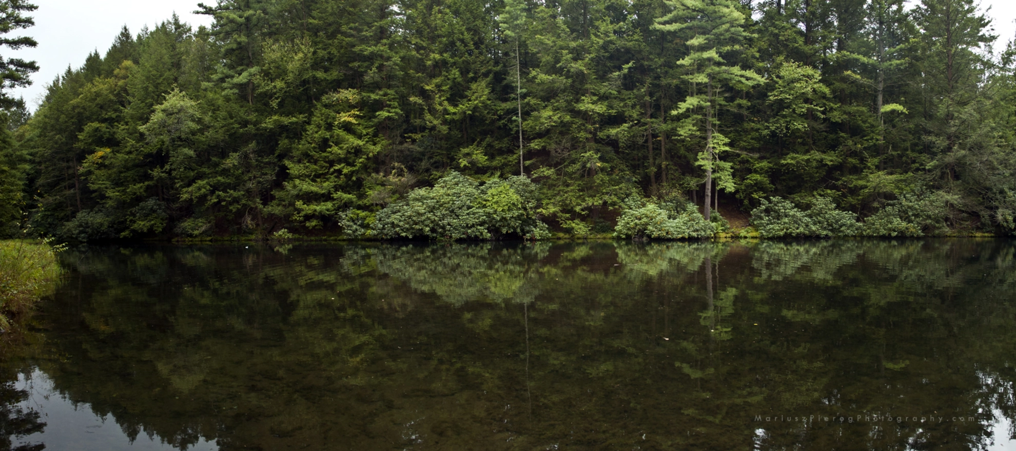 An image depicting the trail Sand Spring Run from Sand Spring Lake and its surrounding area.