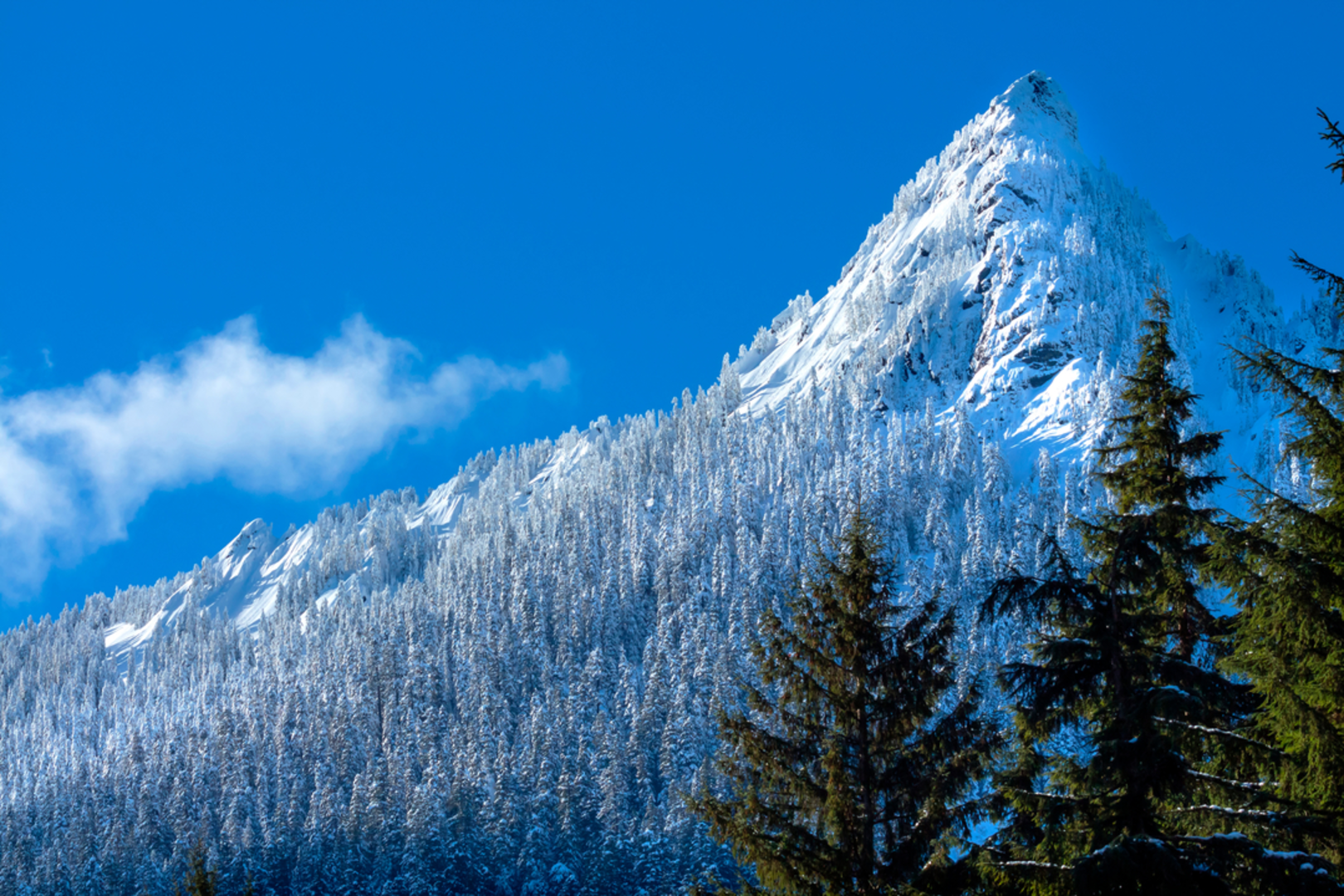 An image depicting the trail Mcclellan Butte Trail and its surrounding area.
