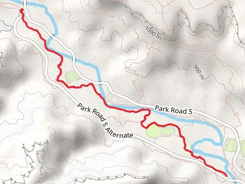 Rojo Grande and Juniper-Riverside Trail