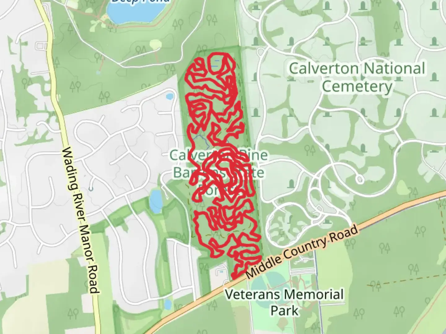 An image depicting the trail Calverton Mountain and Rollercoaster Loop and its surrounding area.