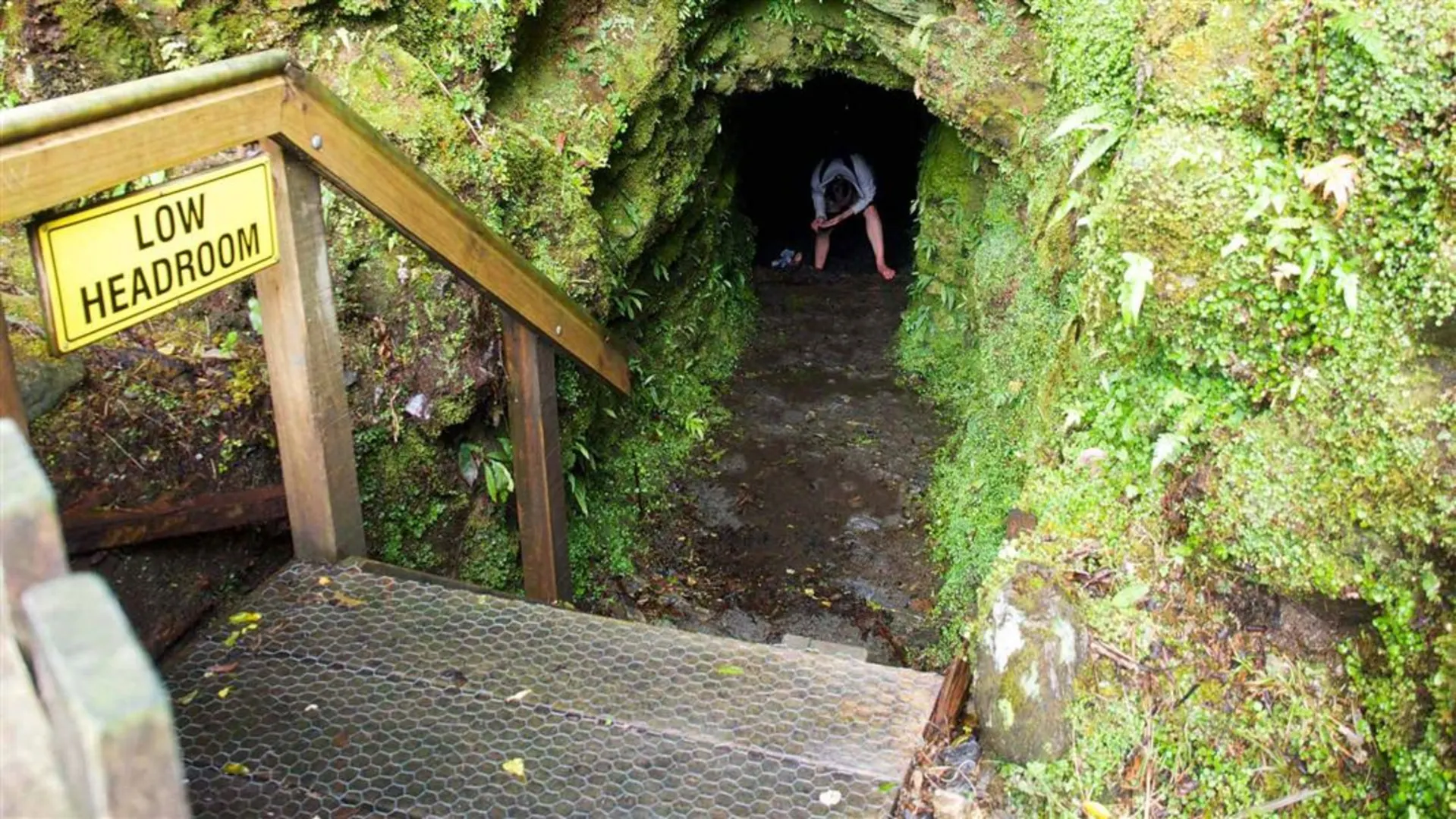 An image depicting the trail Tatare Tunnels Walk and its surrounding area.