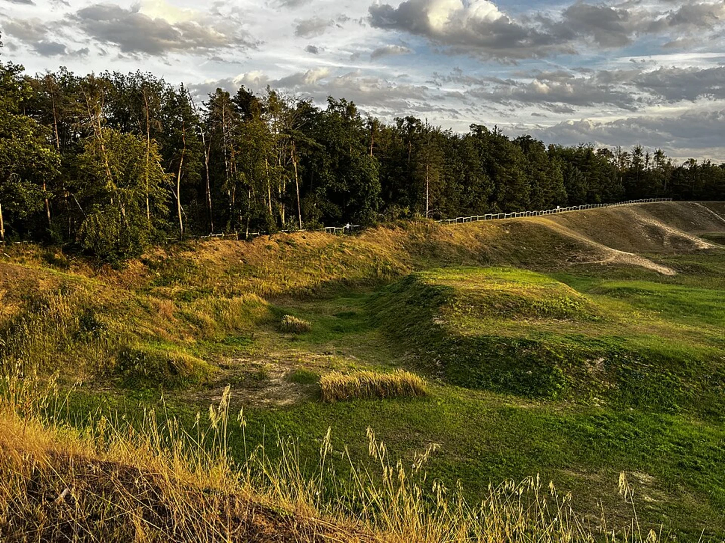 An image depicting the trail Zugmantel-Bandholz and Brühlwegdüne Loop and its surrounding area.