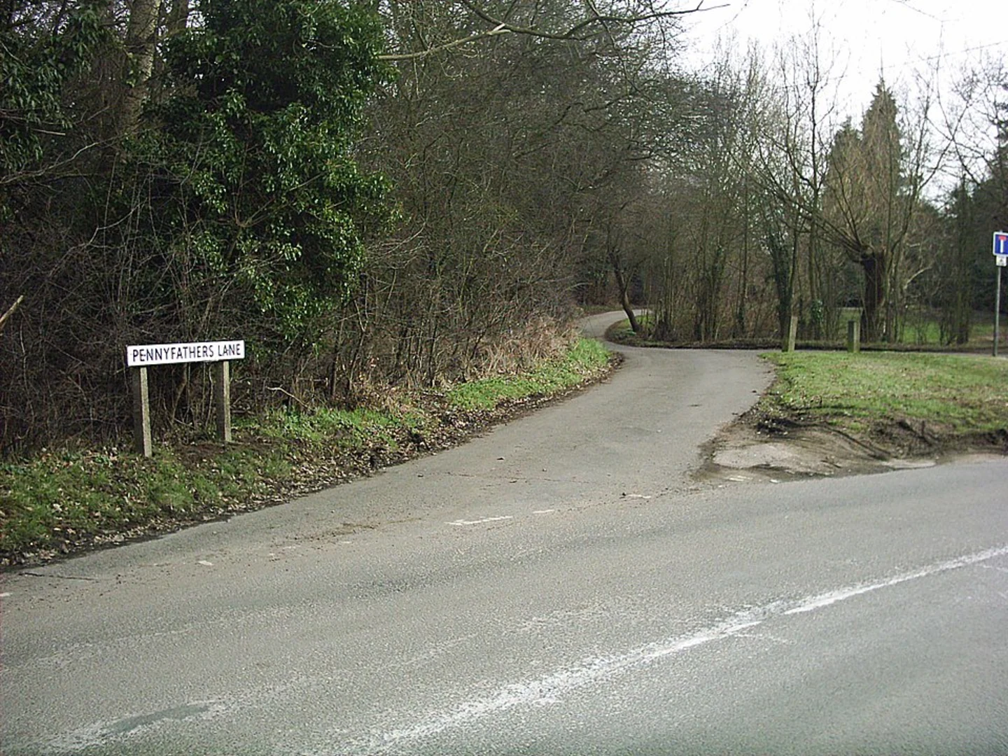 An image depicting the trail Lockleys Wood and Harmergreen Wood Loop and its surrounding area.