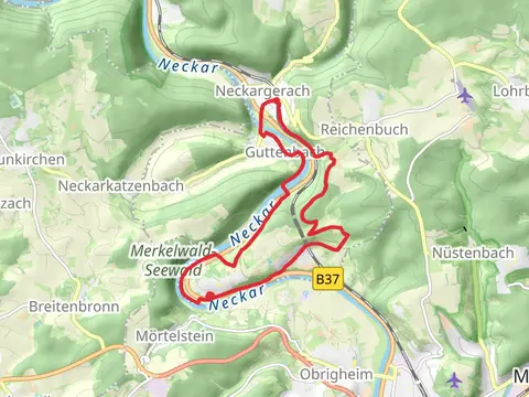 Neckargerach to Binau via Neckar