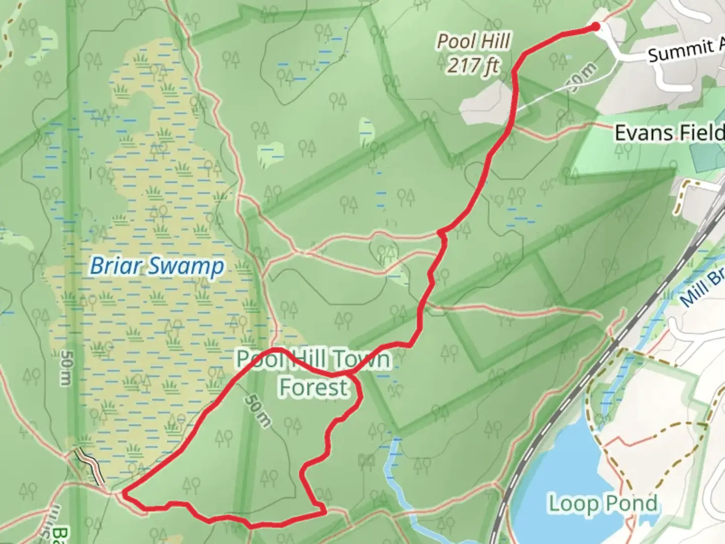 An image depicting the trail Pool Hill Forest Trail and its surrounding area.