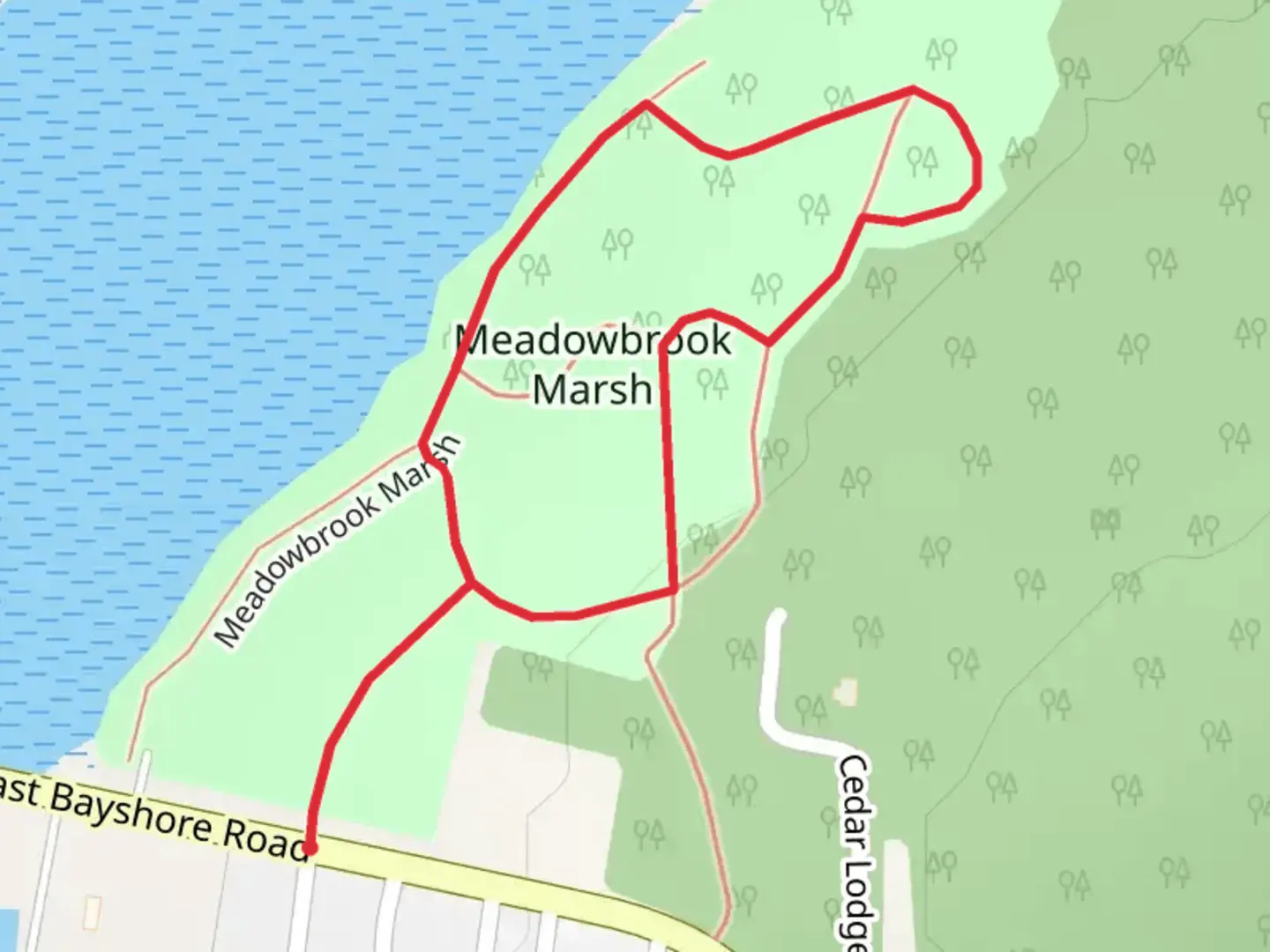 An image depicting the trail Meadowbrook Marsh Loop and its surrounding area.