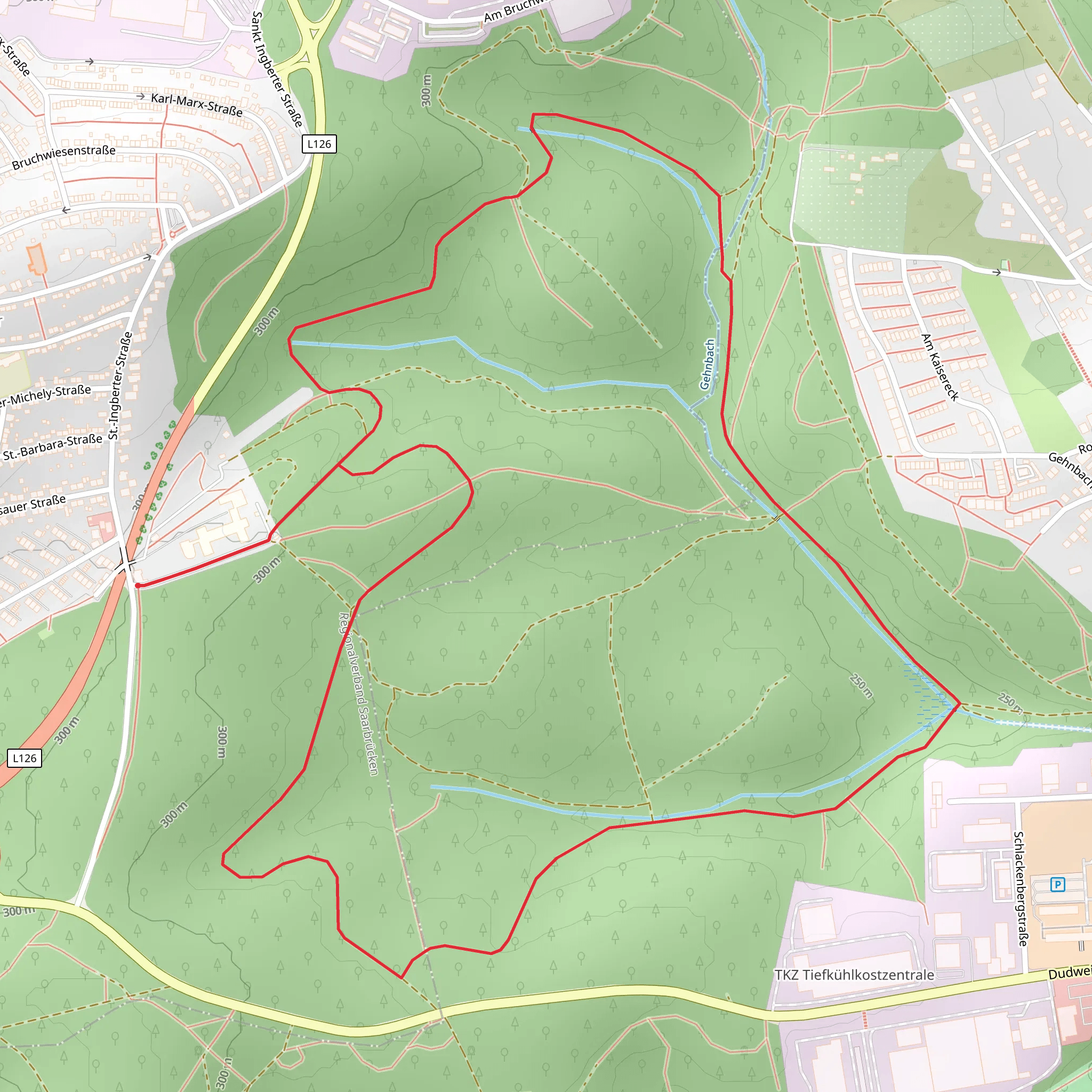 Brunchwald Loop mobile static map