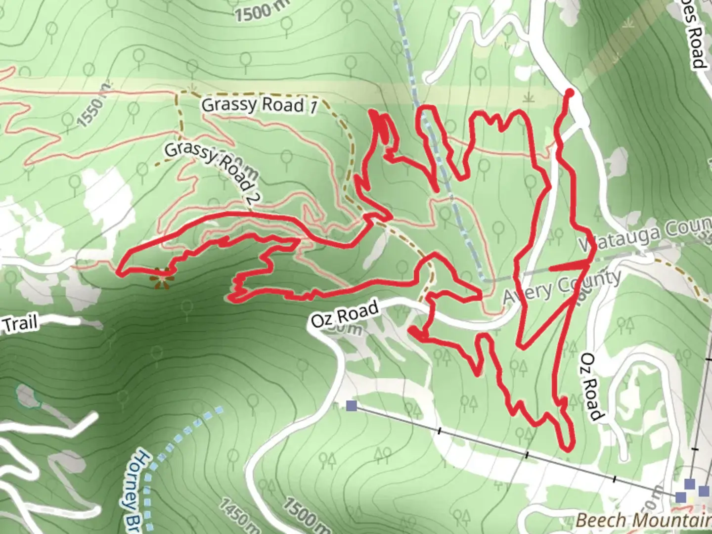 An image depicting the trail The Oz Road Loop and its surrounding area.