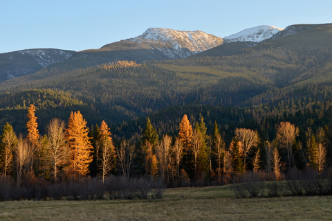 An image depicting the trail Lantern Ridge from South Fork Lolo Creek Trail and its surrounding area.