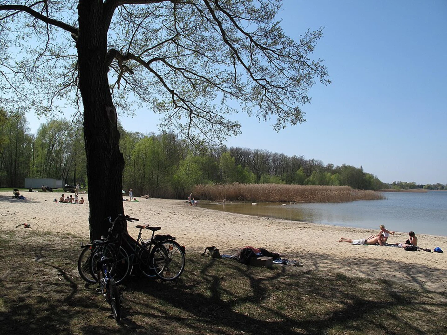 An image depicting the trail Fresdorf to Stücken Loop via Kähnsdorfer See and its surrounding area.