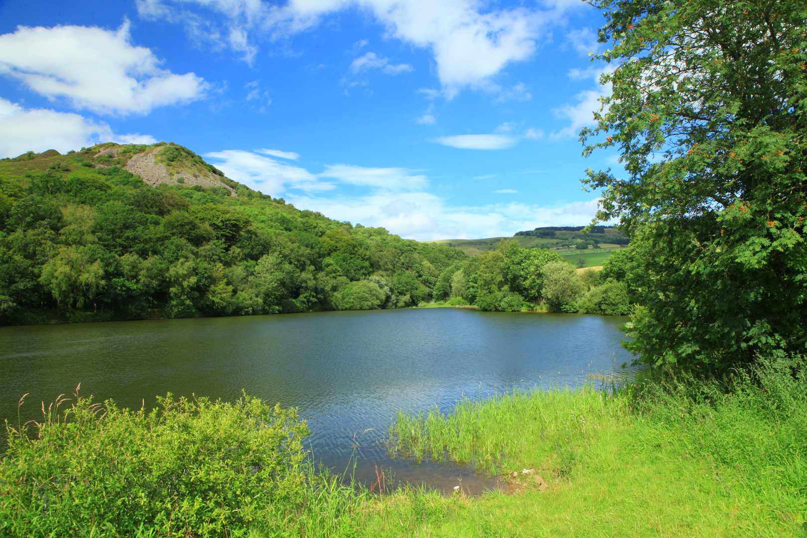 An image depicting the trail Cloud 7 Circuit and its surrounding area.