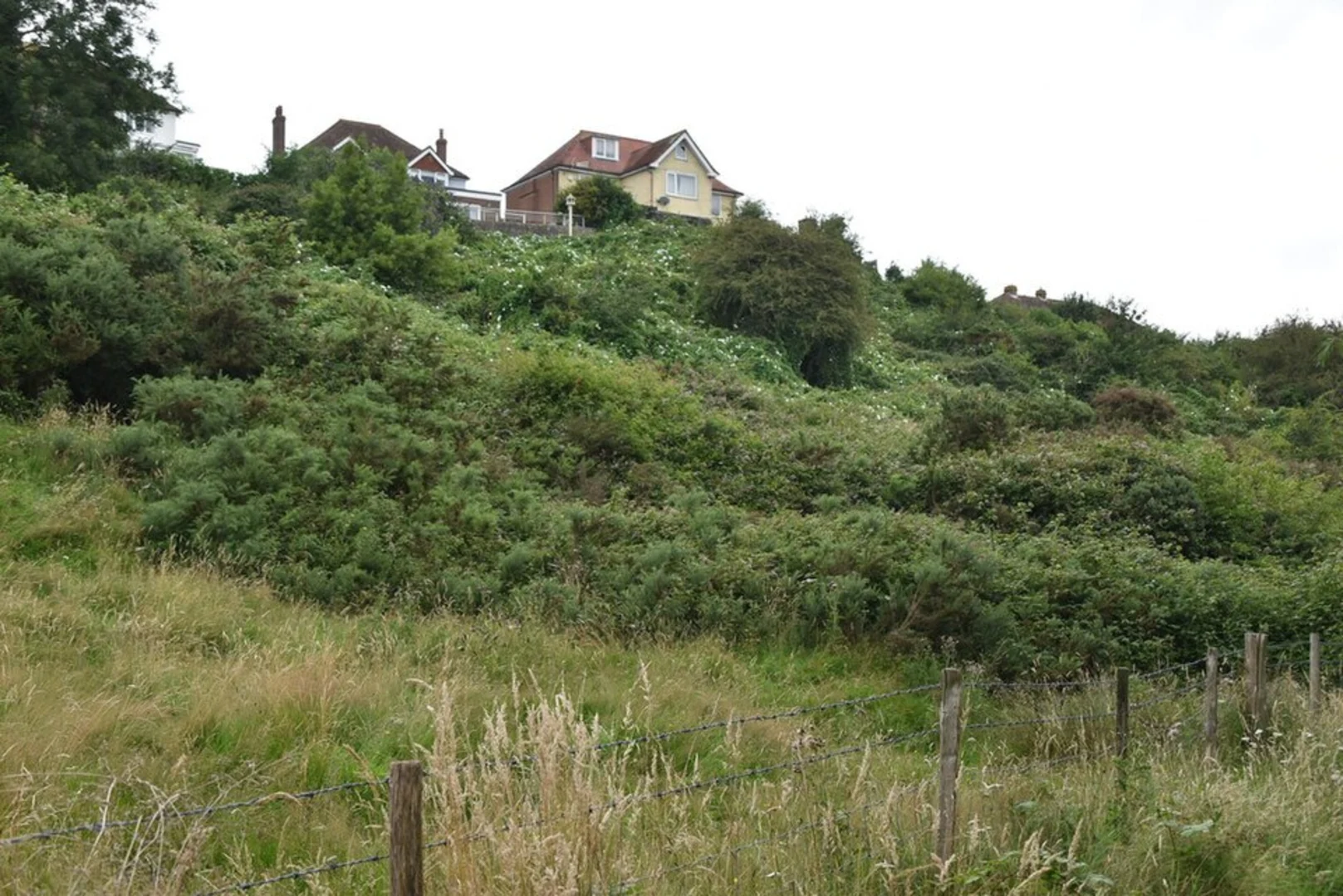 An image depicting the trail Cadborough Cliff and Gibbet Marsh Loop and its surrounding area.