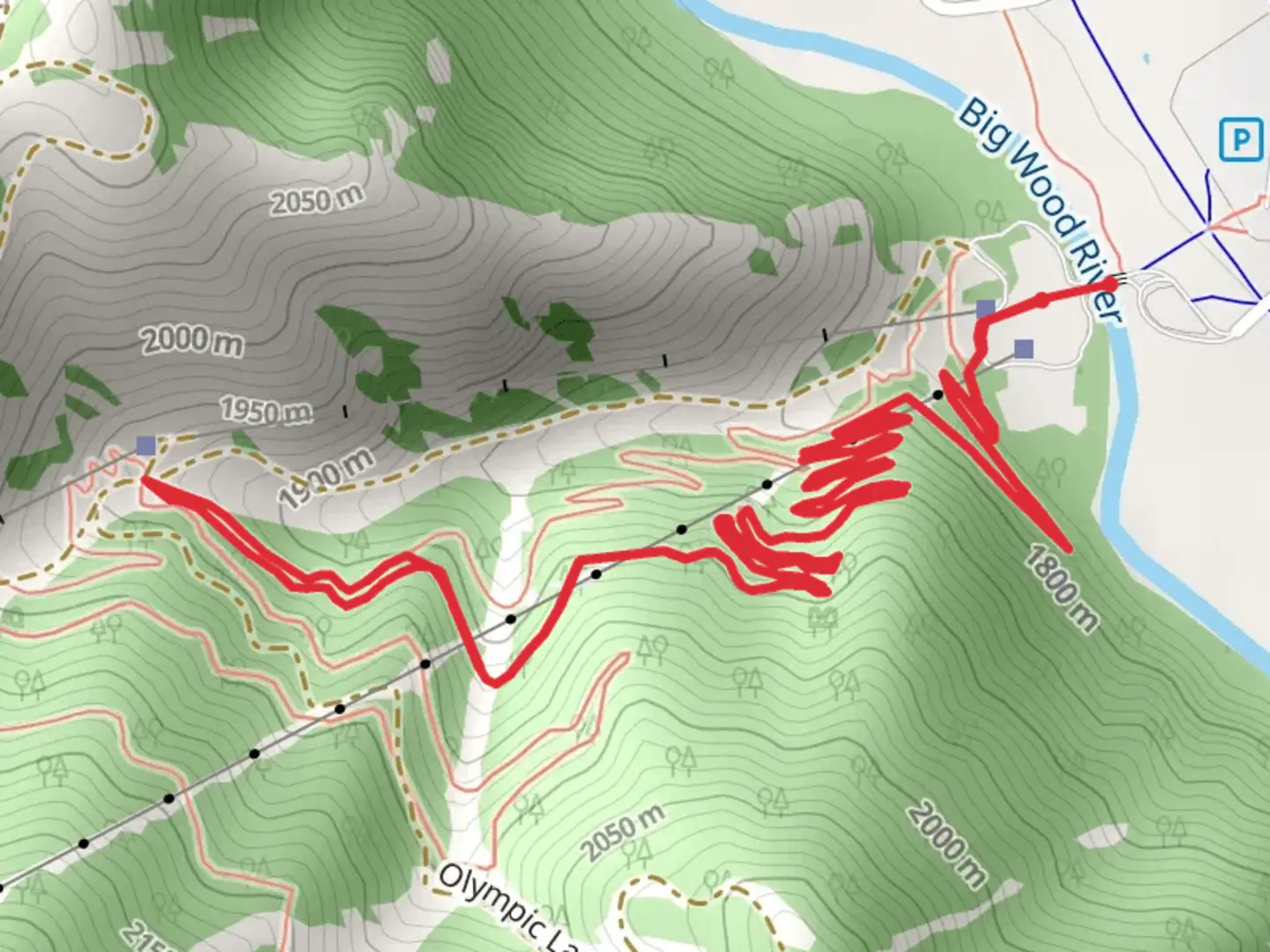 An image depicting the trail Roundhouse Gondola Walk and its surrounding area.
