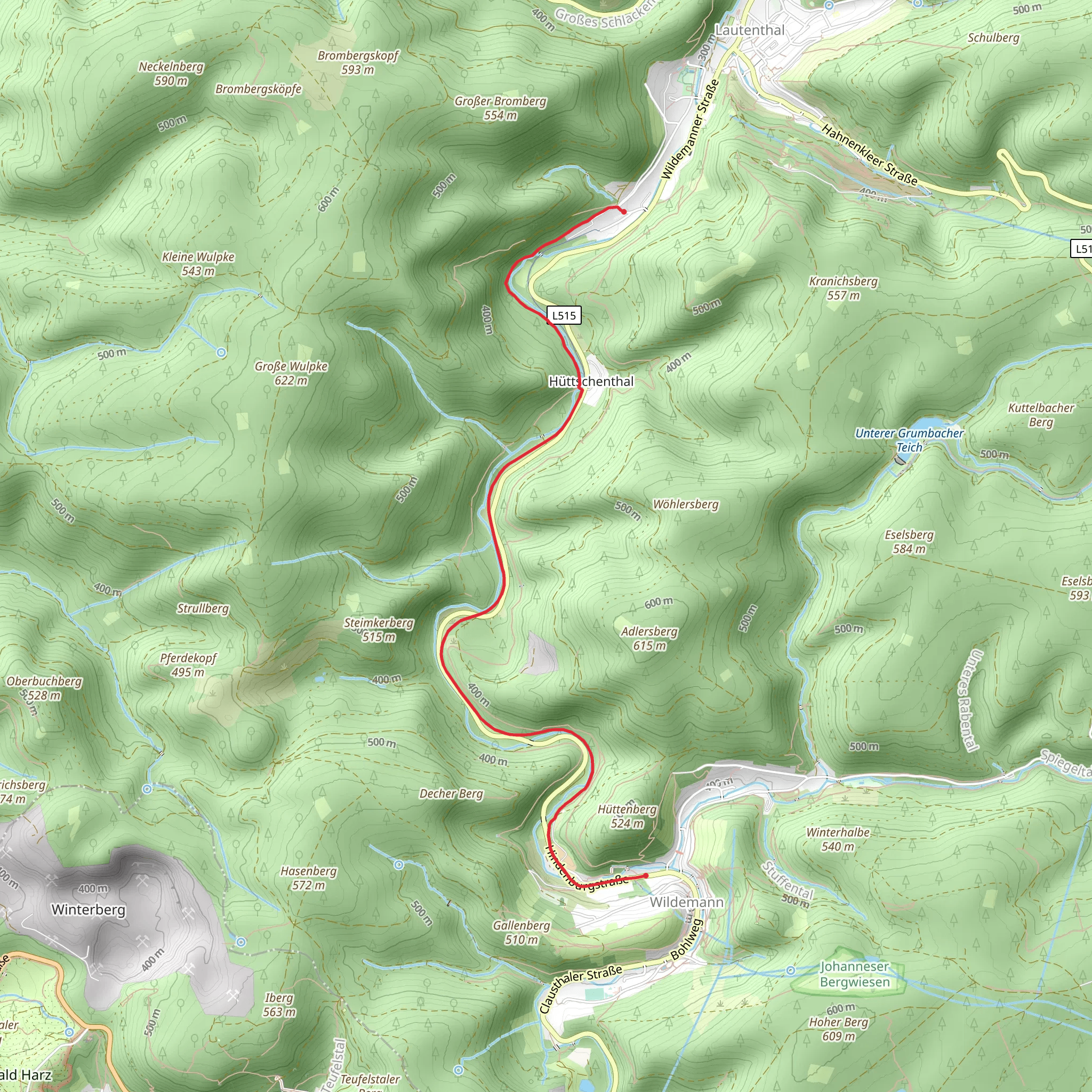 Pension am Wald to Wildemann via Innerste-Radweg mobile static map