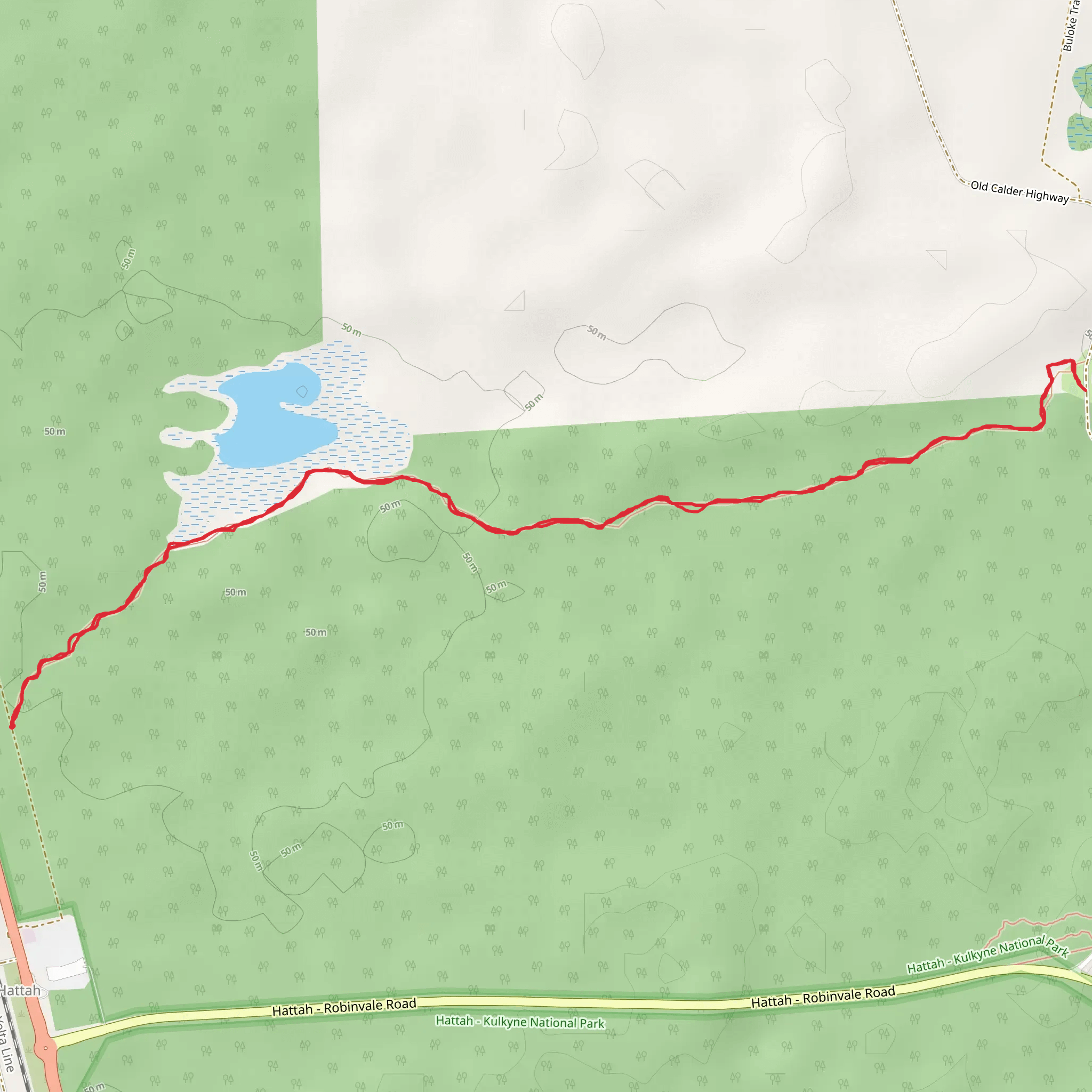 Camel Pad Track mobile static map