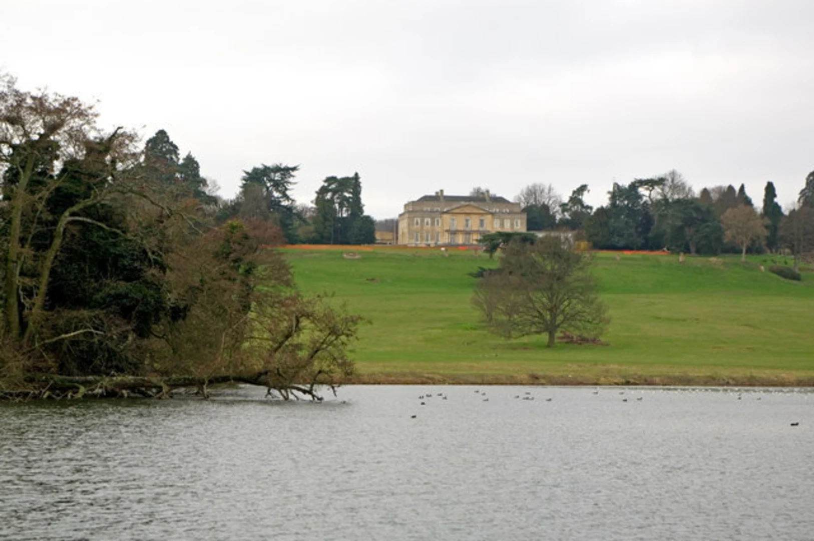 An image depicting the trail Reigate Hill and Gatton Park Loop and its surrounding area.