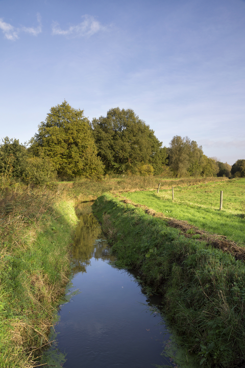 Dal van de Beerze Loop