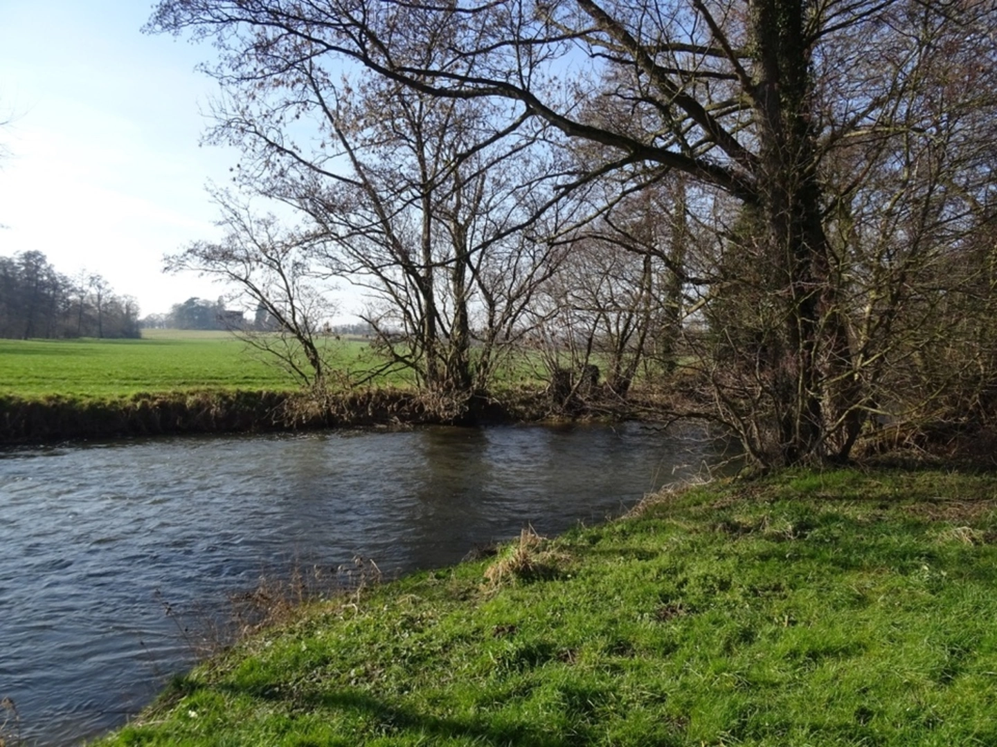 An image depicting the trail Pembridge and its surrounding area.