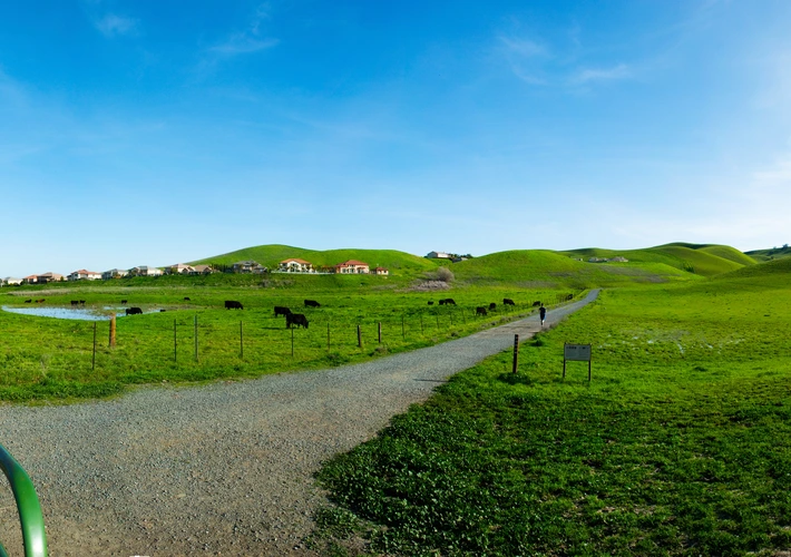 Stewartville and Homestead Loop Trail