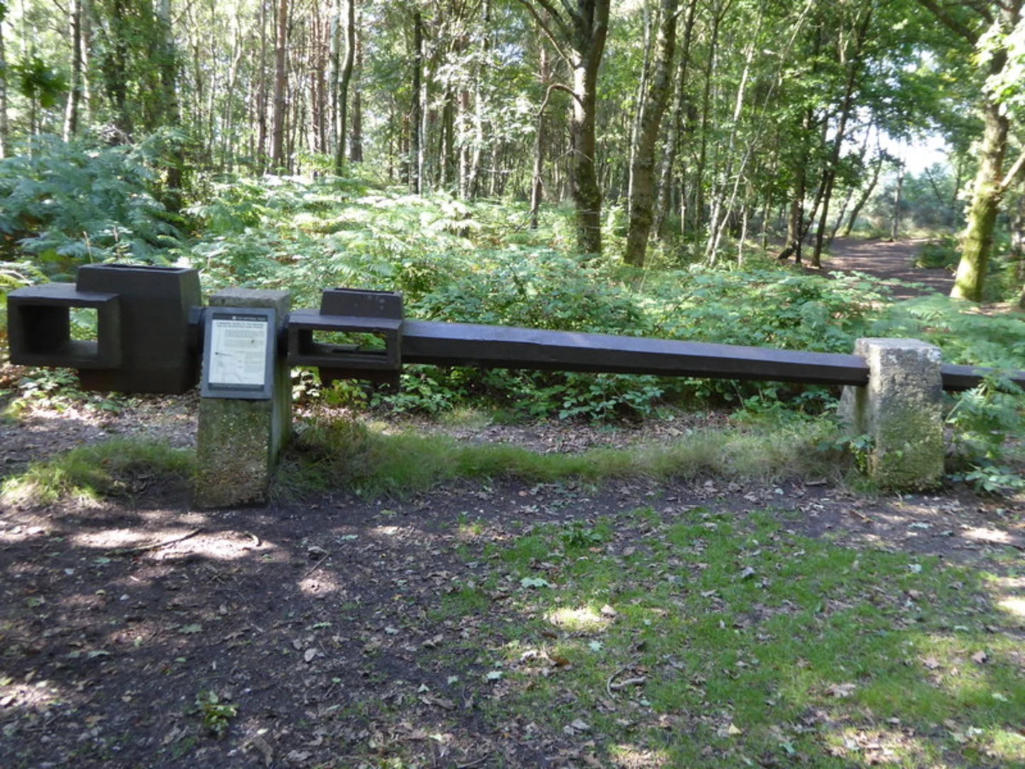 An image depicting the trail Sullington Warren Loop and its surrounding area.