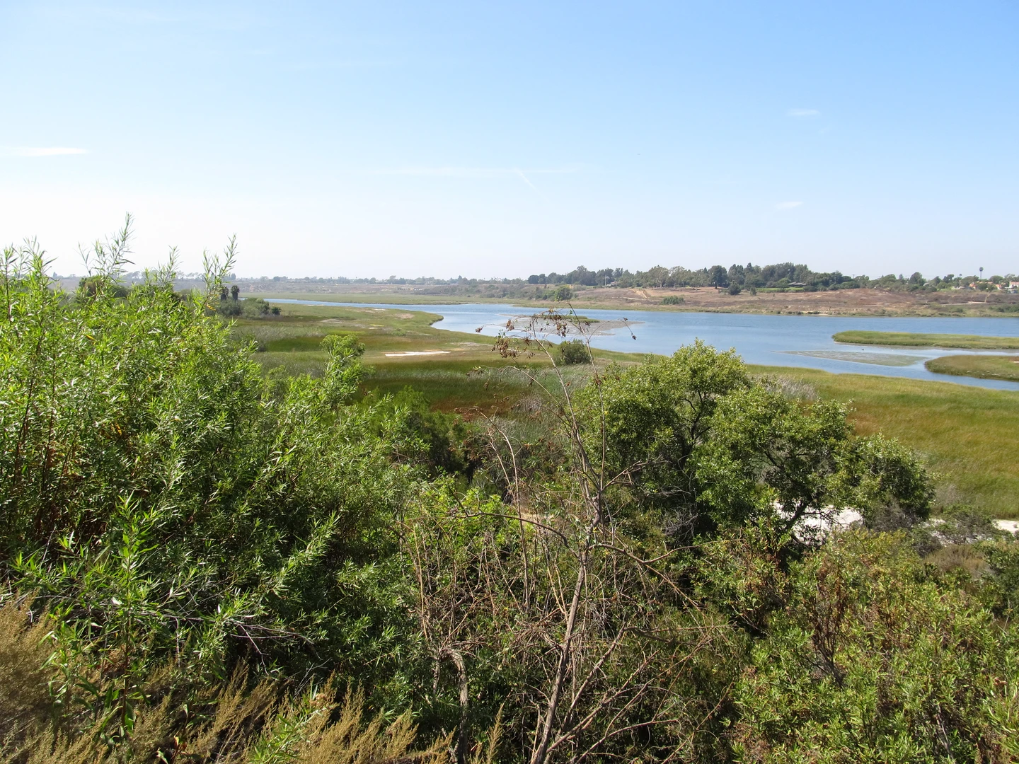 An image depicting the trail Back Bay Loop Trail and its surrounding area.