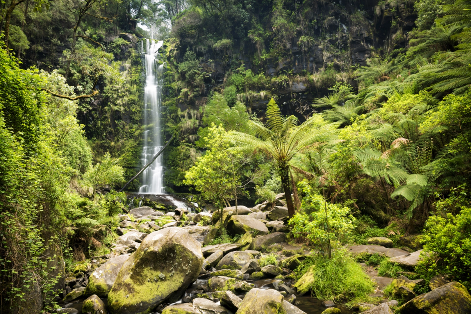 An image depicting the trail Erskine Falls Circuit Trail and its surrounding area.