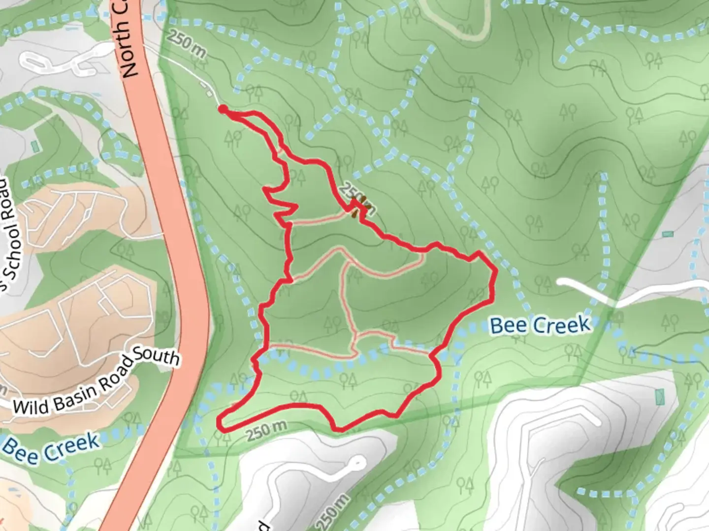 An image depicting the trail Bee Creek and Yaupon Loop Trail and its surrounding area.