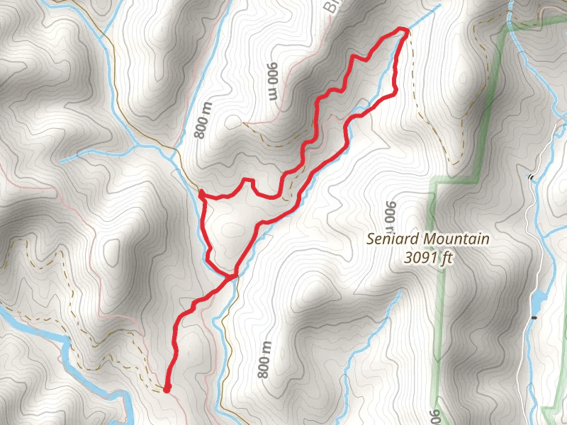 Bear Branch Loop Trail mobile static map