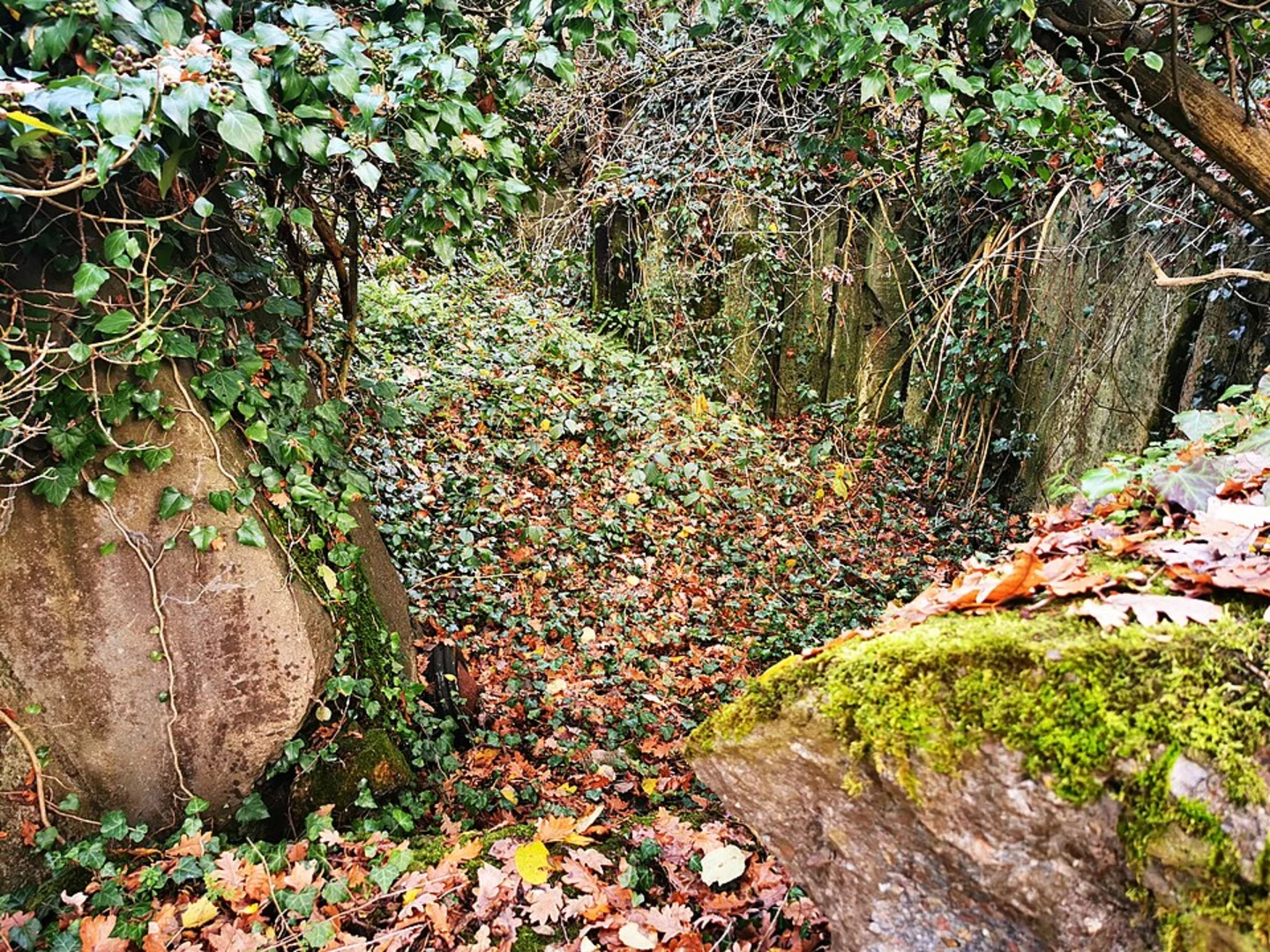 An image depicting the trail Aschaffenburg Süd to Kleinwallstadt via Main and its surrounding area.