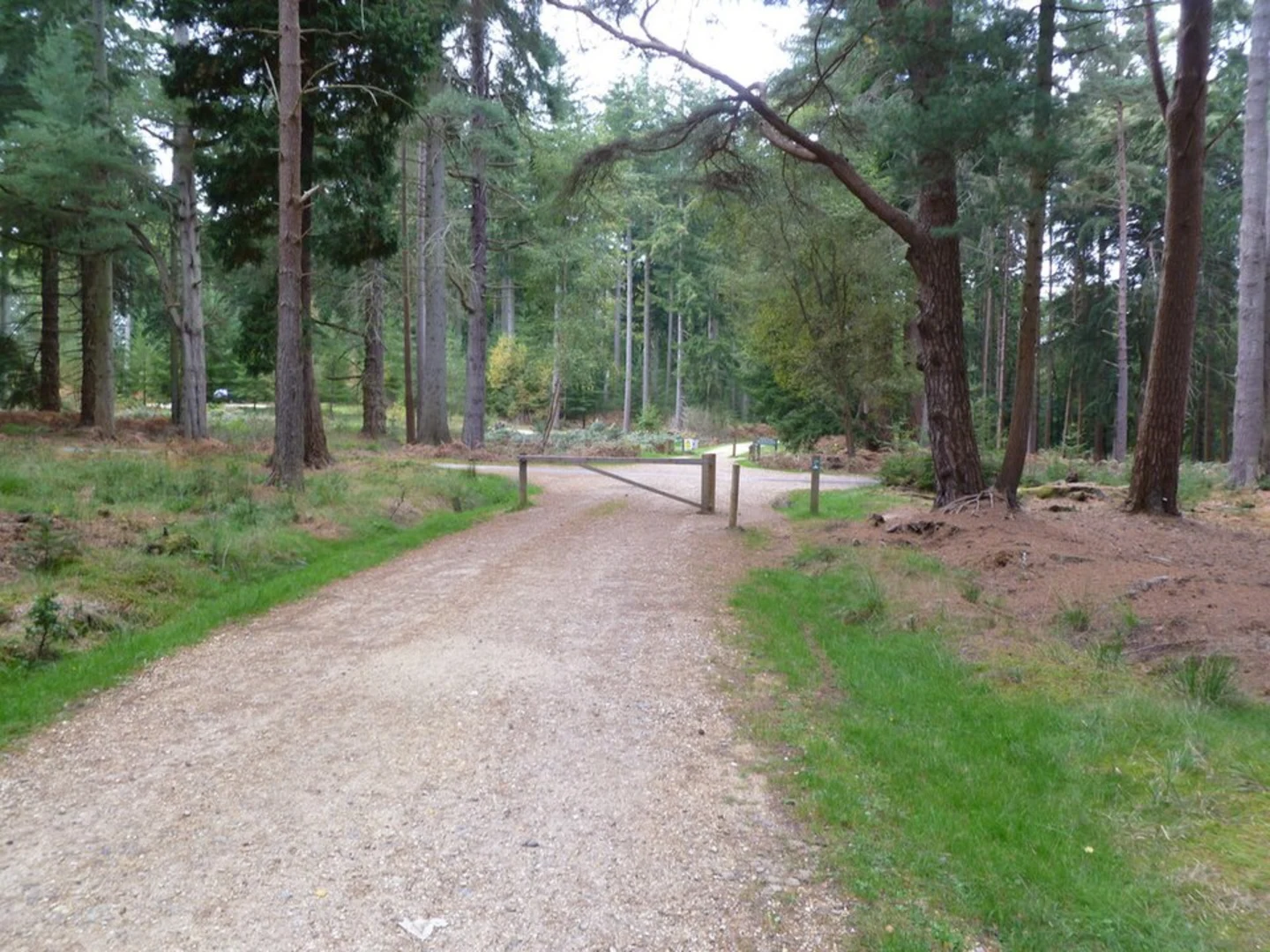 An image depicting the trail Blackwater Arboretum and Tall Trees Loop Trail and its surrounding area.