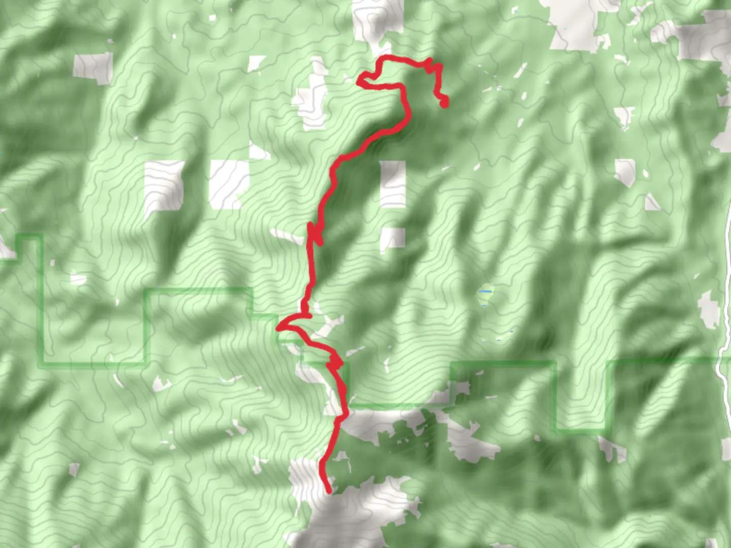 An image depicting the trail Grayback Mountain Trail and its surrounding area.
