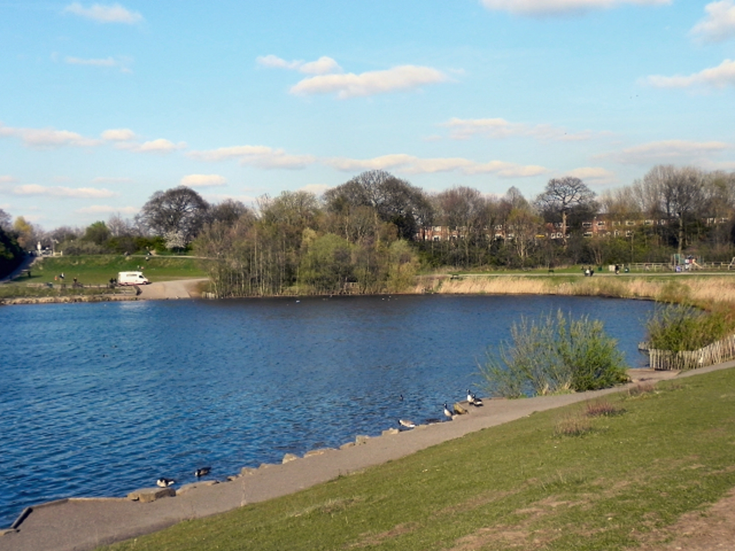 An image depicting the trail Chorlton Water Park Loop and its surrounding area.
