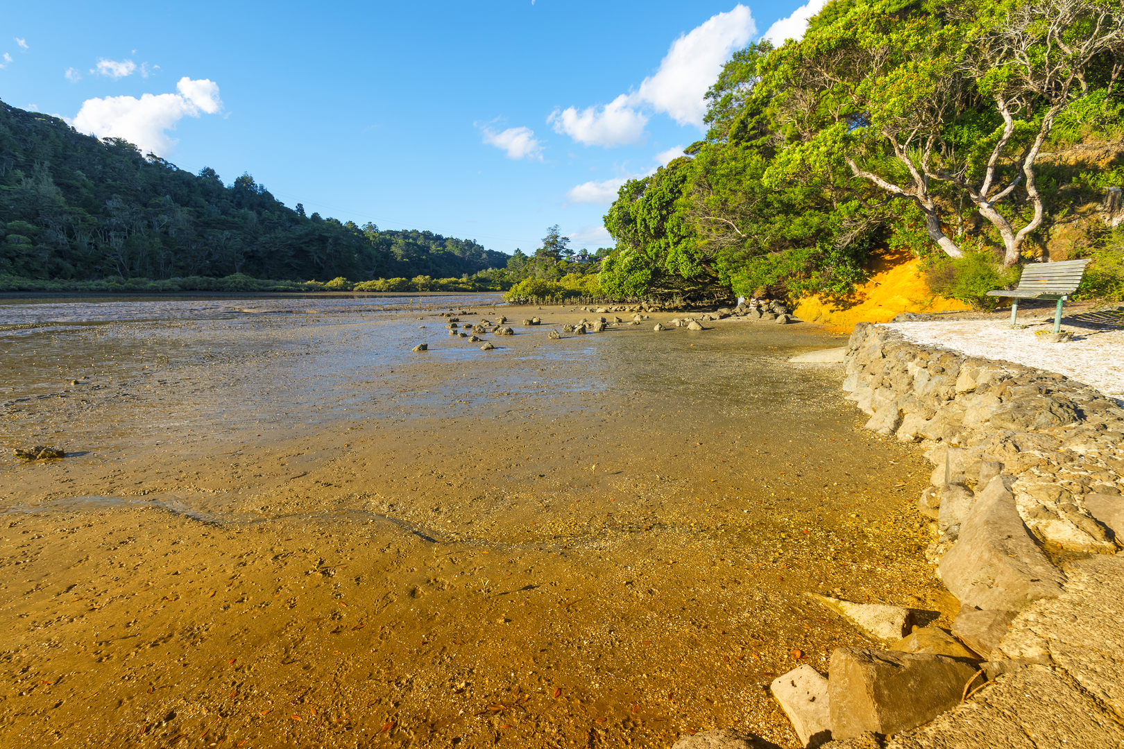 An image depicting the trail Glenfield Nature Reserves Loop and its surrounding area.