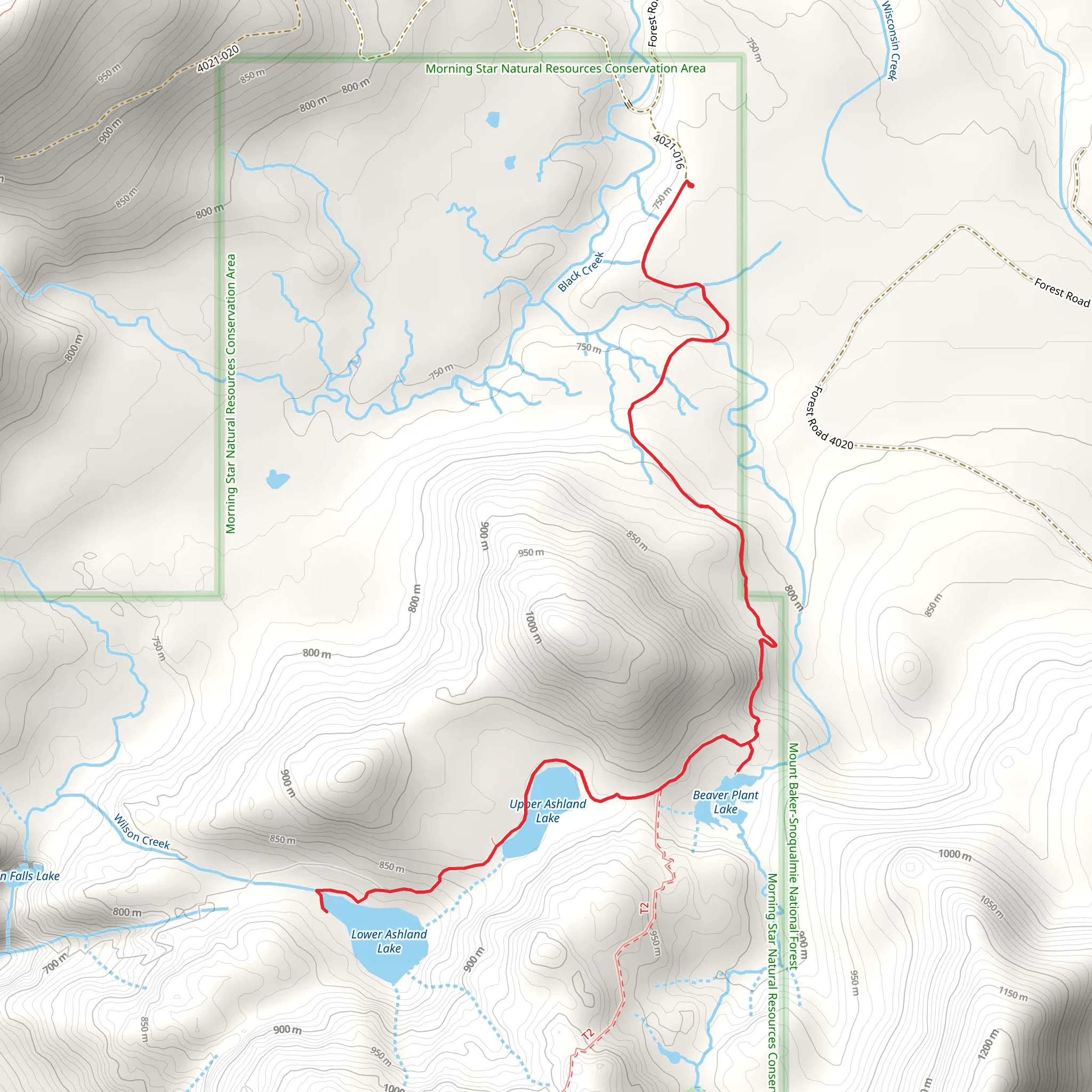 Beaver Plant Lake and Upper - Lower Ashland Lake mobile static map